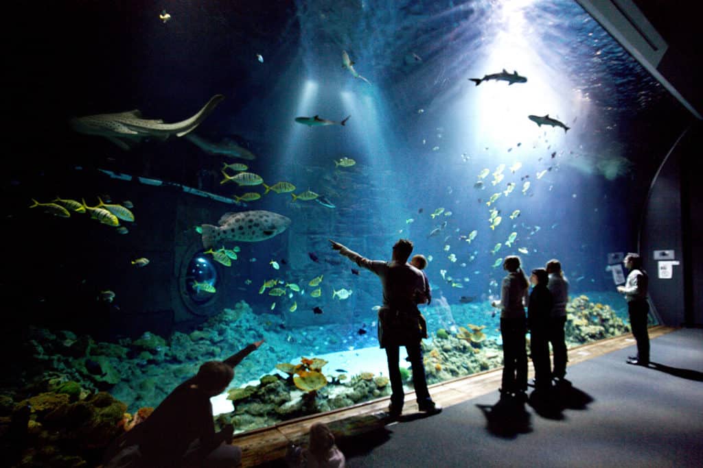 zoos und tierparks in hamburg und umgebung, zoos hamburg, tierparks hamburg, ausflugsziele hamburg Der Tierpark Hagenbeck in Hamburg